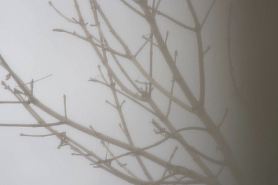 6 марта в Самарской области ожидается сильный туман