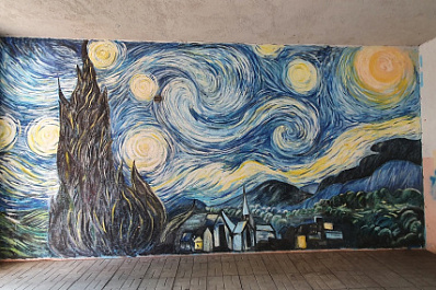 Мировые шедевры в самарском дворе: автор картин на улице Ставропольской рассказала об их создании