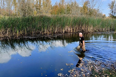 Новокуйбышевский водолаз спасает щук от смерти