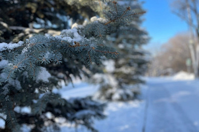 В Самарской области 8 марта будет ветрено и снежно