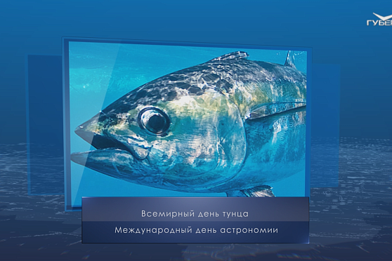 День тунца. Календарь губернии от 2 мая