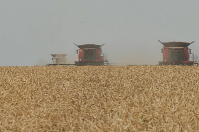 Комплексный подход к земледелию: Кошкинский район подтвердил статус северной житницы Самарской области на агровыставке