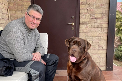 В мирном городе: лабрадор из Мариуполя обживает свой новый дом в Тольятти