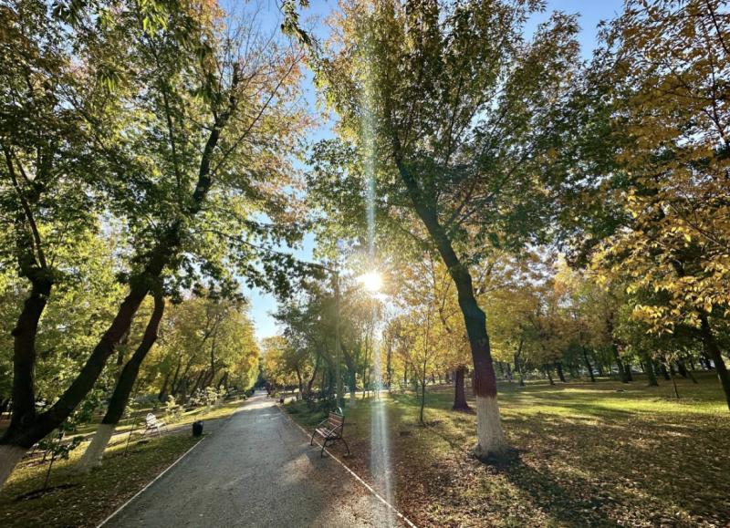 Синоптики рассказали о погоде в Самарской области на выходные