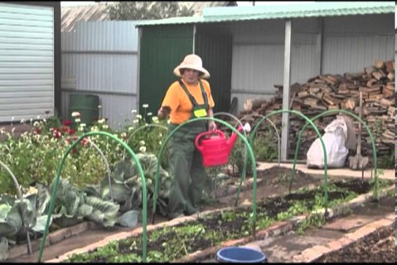 Дачные советы 05.09.2013 