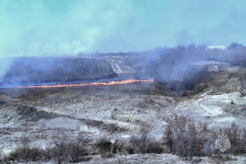 Жителей Самарской области предупредили о пожарной опасности лесов 4 класса