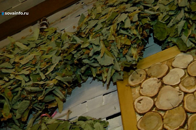 В Самаре прошел “Кубок Поволжья” по банному мастерству