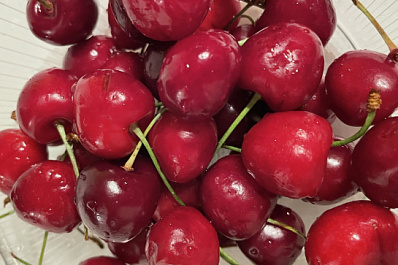 Врач рассказала, сколько можно есть фруктов и ягод в день