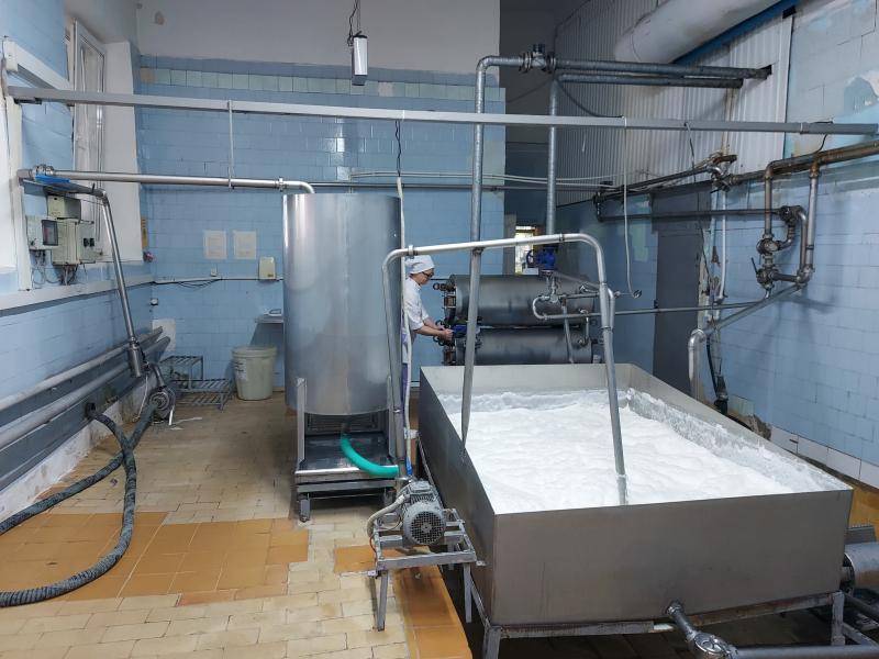 Как делают "молочку" в Красном Яре: репортаж с завода, который перерабатывает до 50 тонн сырья в сутки