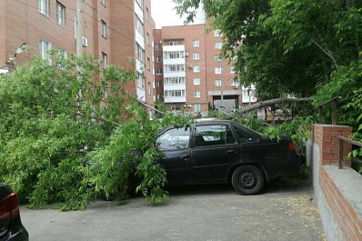 В Самаре от порыва ветра дерево упало и пробило заднее стекло автомобиля