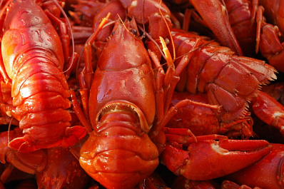 Под Сызранью 38-летний рыбак заманивал раков запрещенной ловушкой