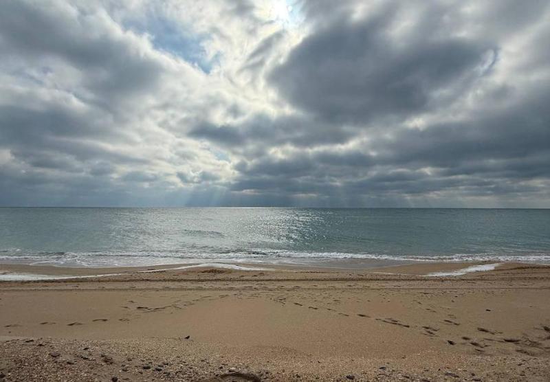 Девушка-волонтёр из Самары рассказала, как совмещает спасение птиц в Анапе с работой