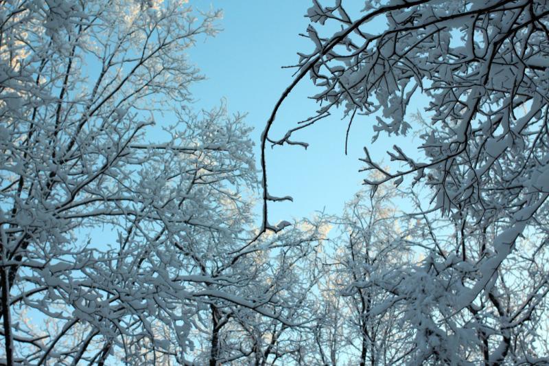 Народные приметы на 28 декабря 2024 года: что нельзя делать в этот день