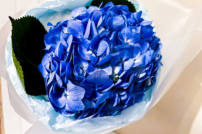 Любовный гороскоп на 17 октября 2025 года: что обещают астрологи