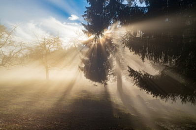 Грядет ослабление жары: синоптики рассказали о погоде в Самарской области 12 июля