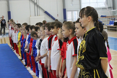 В Самаре определили лучших ушуистов