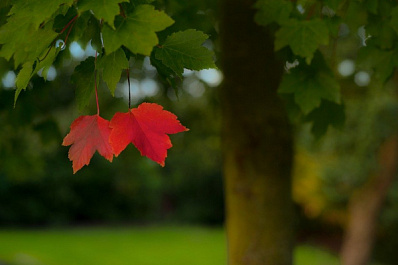Первые выходные сентября в Самарской области будут теплыми и солнечными