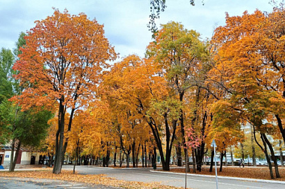 Название статьи