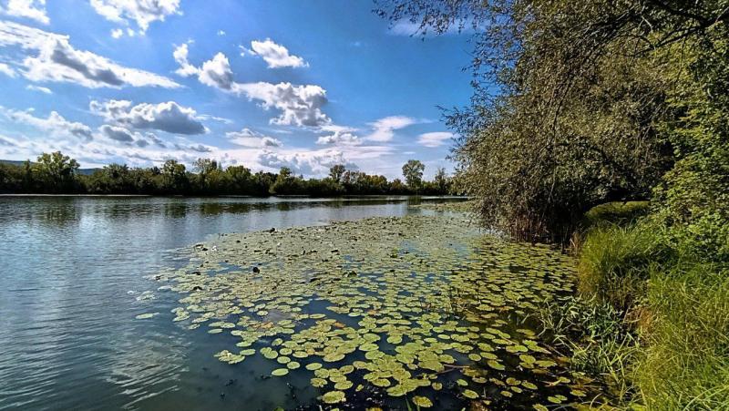 Погода на 24 августа 2025 года: народные приметы и прогноз синоптиков