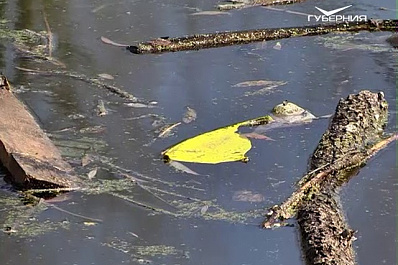 Пруд Сухой в Самаре приведут в порядок за три месяца