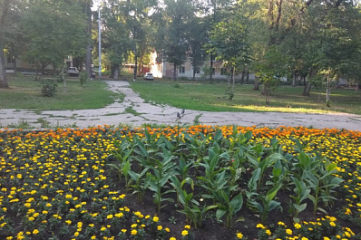Самарцы продолжают выбирать места благоустройства