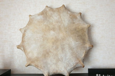 Мужчина хочет продать шаманский бубен за 1,5 миллиона рублей в Новосибирске