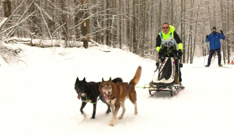 Под Самарой прошли рождественские гонки на собачьих упряжках