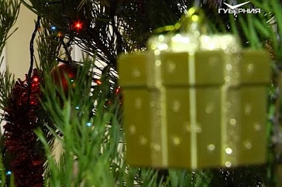 Самарские медики начали применять елкотерапию