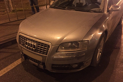 В Самаре на ул. Демократической водитель Audi S8 на пешеходном переходе сбил женщину с 5-летним ребенком