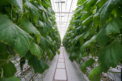 Название статьи