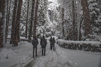 Меньше алкоголя, больше ходьбы: как сберечь здоровье во время новогодних праздников