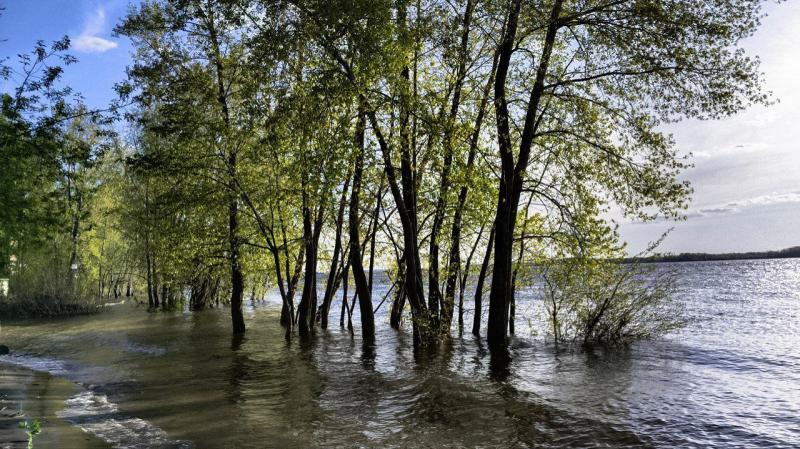 Погода на 7 мая 2025 года: народные приметы и прогноз синоптиков