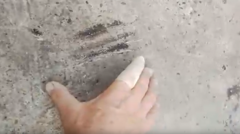 СМИ распространили ложную информацию о набеге чупакабры в Самарской области