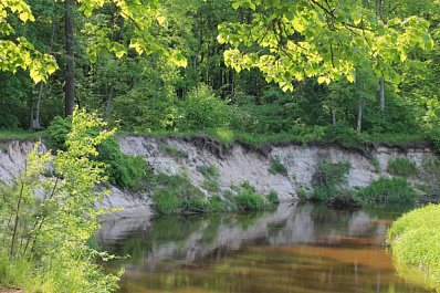 В Тольятти в обрыв скатилась припаркованная машина