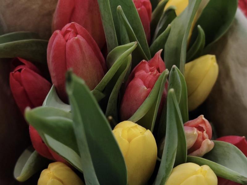 Как правильно выбирать цветы: советы Роспотребнадзора