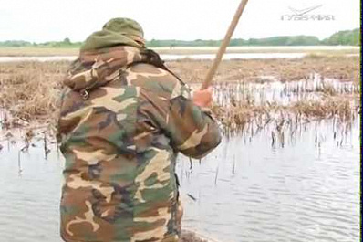 7 тонн рыбы и раков изъяли инспекторы регионального рыбнадзора