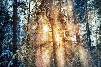 Народные приметы на 3 марта 2025 года: что нельзя делать в этот день