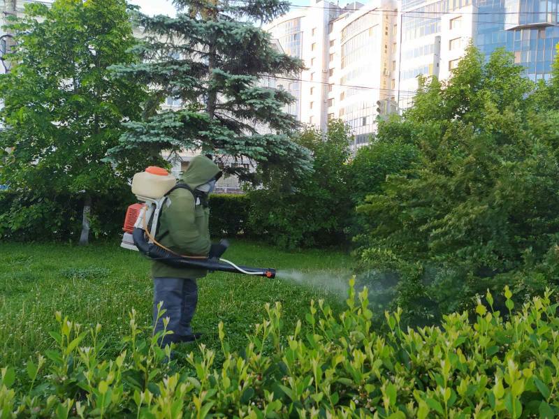 В общественных местах Самары начали уничтожать комаров