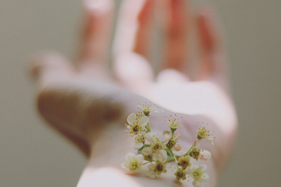 Иммунолог назвал причины развития сезонной аллергии