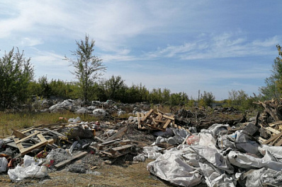 В Самаре возле реки нашли незаконную свалку со стройматериалами и трупами животных