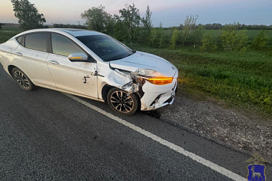 В Кинельском районе 18 мая легковушка наехала на лося