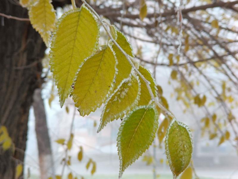 В Самарской области после выходных похолодает до -5 °C