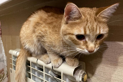 Название статьи