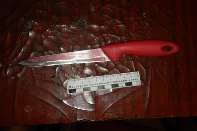 Убийца из Самарской области решила проучить возлюбленного при помощи ножа