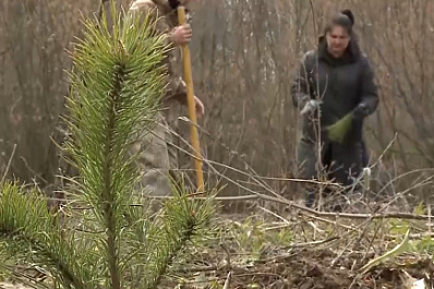 В Самарской области десятки саженцев пополнили "Сад памяти"