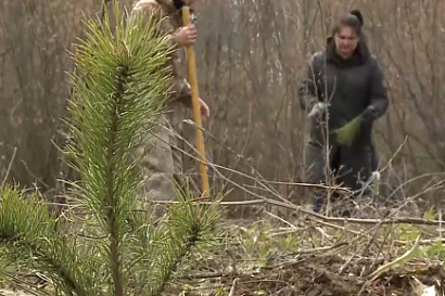 Название статьи