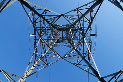 Самарцам помогли избавиться от "высоковольтных" деревьев при содействии системы "Инцидент Менеджмент"