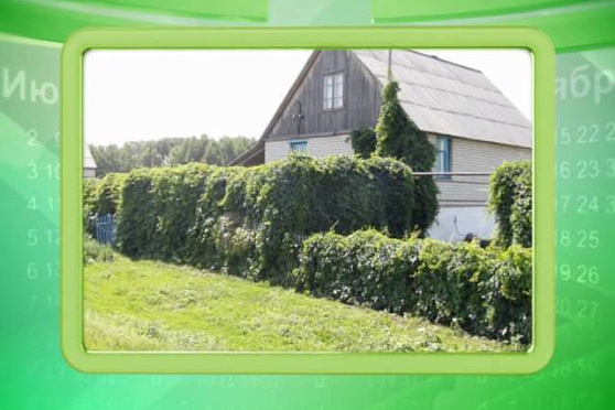 Календарь губернии 8.09.2014 