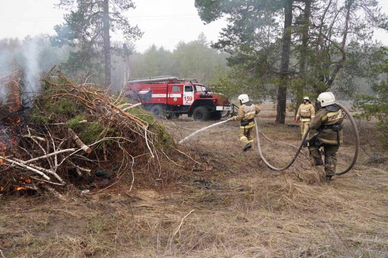 В Самарской области прошли учения по тушению лесных пожаров