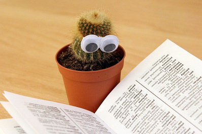 Стало известно, как будут учиться школьники в период крепких морозов   